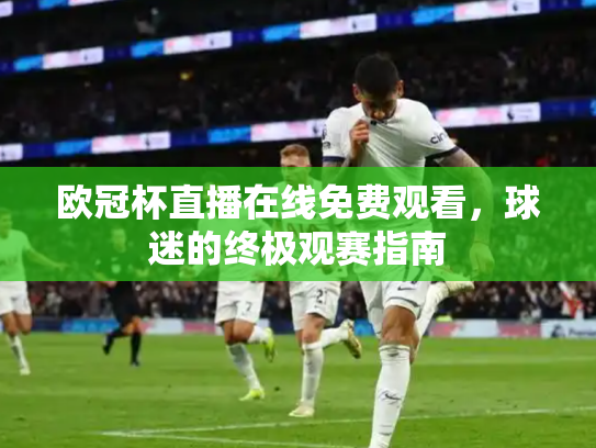 欧冠杯直播在线免费观看，球迷的终极观赛指南