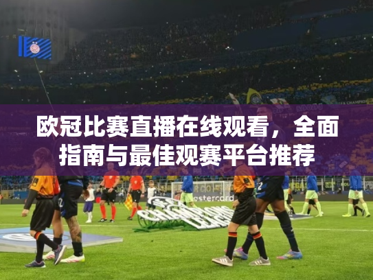 欧冠比赛直播在线观看，全面指南与最佳观赛平台推荐
