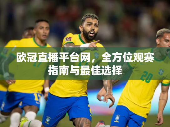 欧冠直播平台网，全方位观赛指南与最佳选择