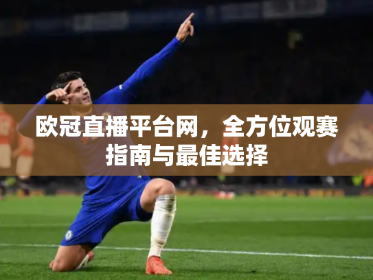 欧冠直播平台网，全方位观赛指南与最佳选择