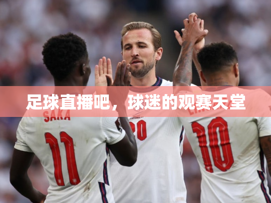 足球直播吧，球迷的观赛天堂