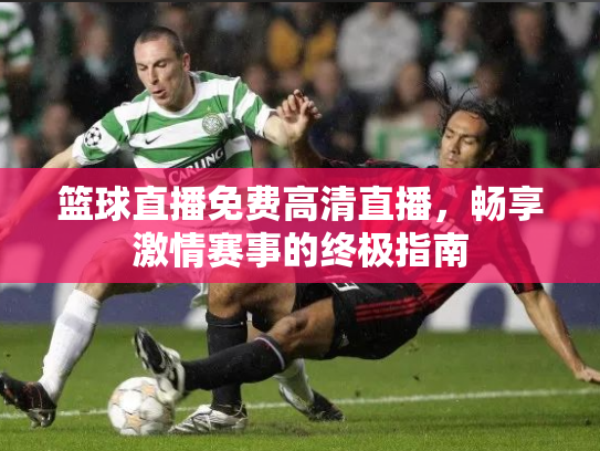 篮球直播免费高清直播，畅享激情赛事的终极指南
