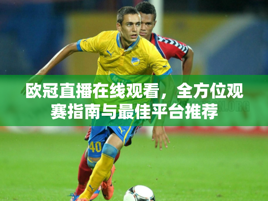 欧冠直播在线观看，全方位观赛指南与最佳平台推荐