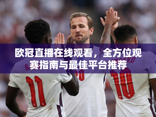 欧冠直播在线观看，全方位观赛指南与最佳平台推荐