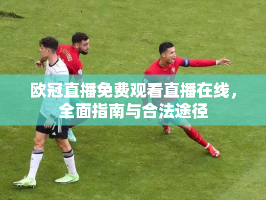 欧冠直播免费观看直播在线，全面指南与合法途径