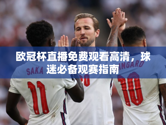 欧冠杯直播免费观看高清，球迷必备观赛指南