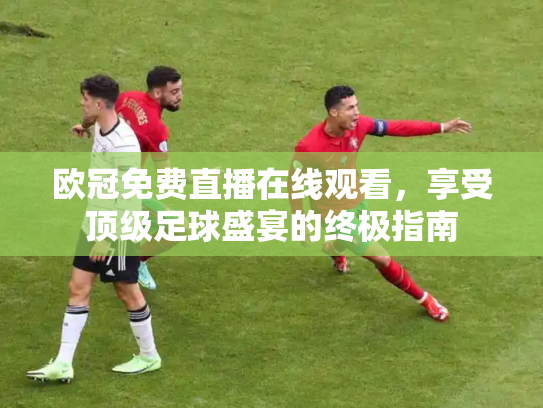 欧冠免费直播在线观看，享受顶级足球盛宴的终极指南