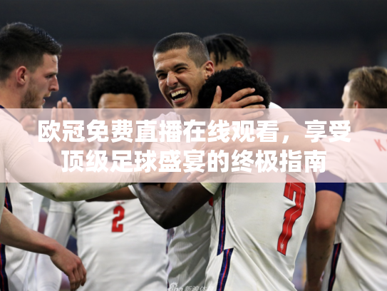 欧冠免费直播在线观看，享受顶级足球盛宴的终极指南
