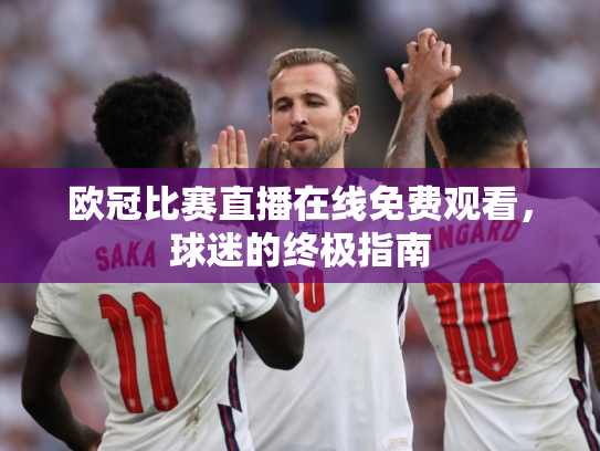 欧冠比赛直播在线免费观看，球迷的终极指南