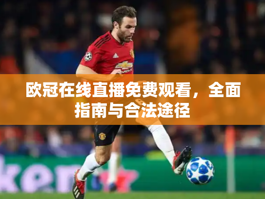 欧冠在线直播免费观看，全面指南与合法途径