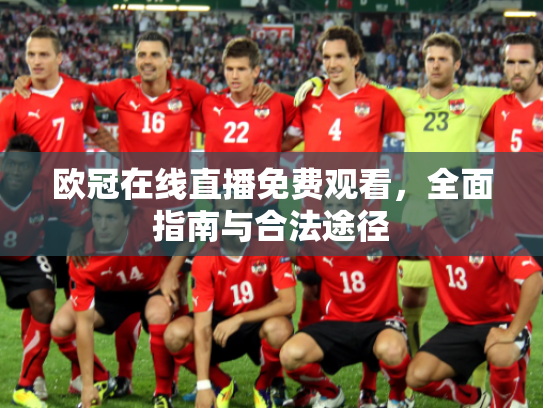 欧冠在线直播免费观看，全面指南与合法途径