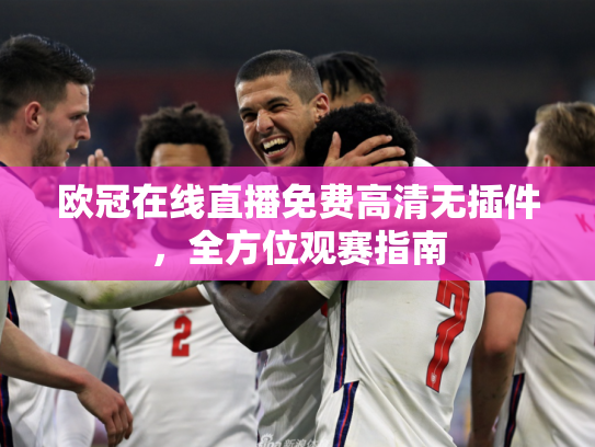 欧冠在线直播免费高清无插件，全方位观赛指南