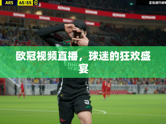 欧冠视频直播，球迷的狂欢盛宴