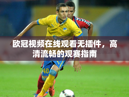 欧冠视频在线观看无插件，高清流畅的观赛指南