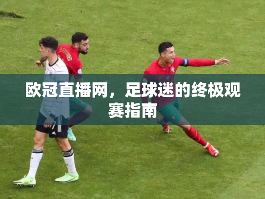 欧冠直播网，足球迷的终极观赛指南