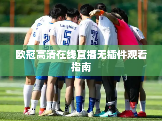 欧冠高清在线直播无插件观看指南