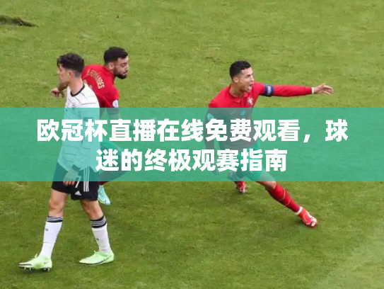 欧冠杯直播在线免费观看，球迷的终极观赛指南