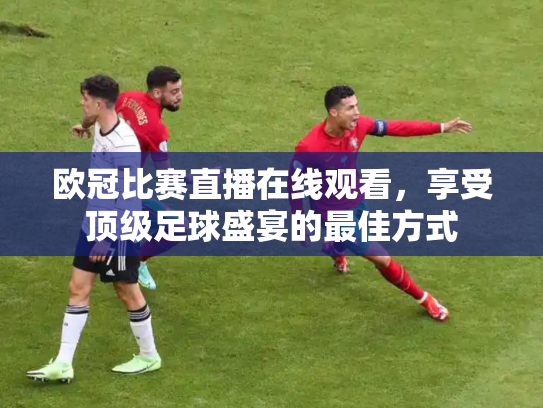 欧冠比赛直播在线观看，享受顶级足球盛宴的最佳方式
