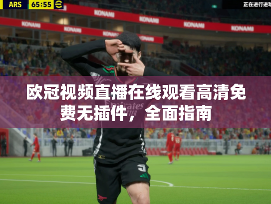 欧冠视频直播在线观看高清免费无插件，全面指南