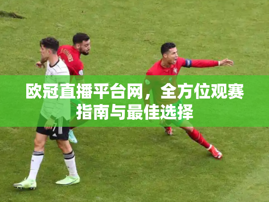 欧冠直播平台网，全方位观赛指南与最佳选择