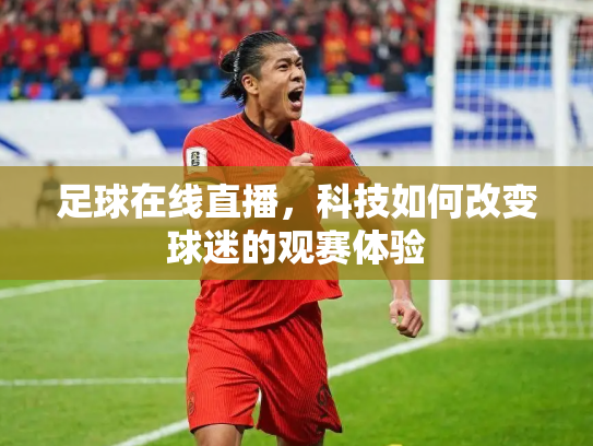 足球在线直播，科技如何改变球迷的观赛体验