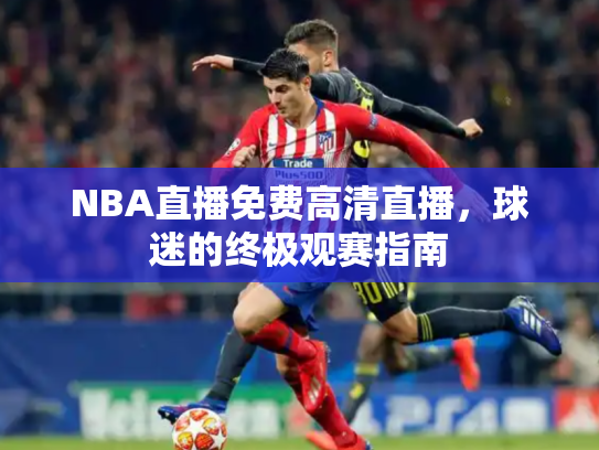 NBA直播免费高清直播，球迷的终极观赛指南