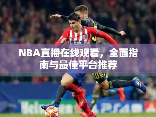 NBA直播在线观看，全面指南与最佳平台推荐