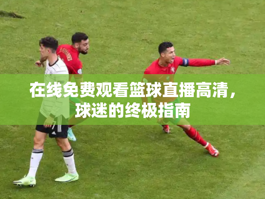 在线免费观看篮球直播高清，球迷的终极指南
