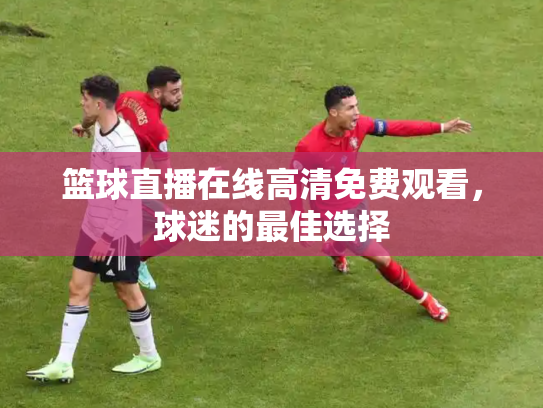 篮球直播在线高清免费观看，球迷的最佳选择