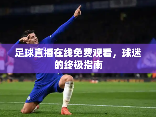 足球直播在线免费观看，球迷的终极指南