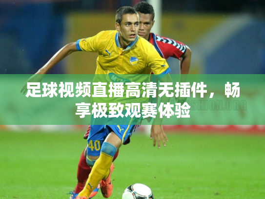 足球视频直播高清无插件，畅享极致观赛体验
