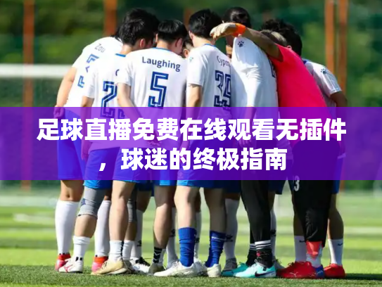 足球直播免费在线观看无插件，球迷的终极指南