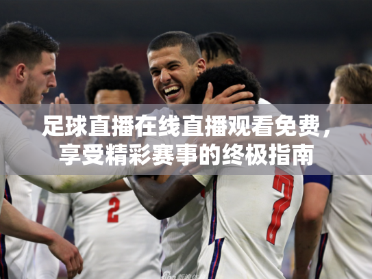 足球直播在线直播观看免费，享受精彩赛事的终极指南