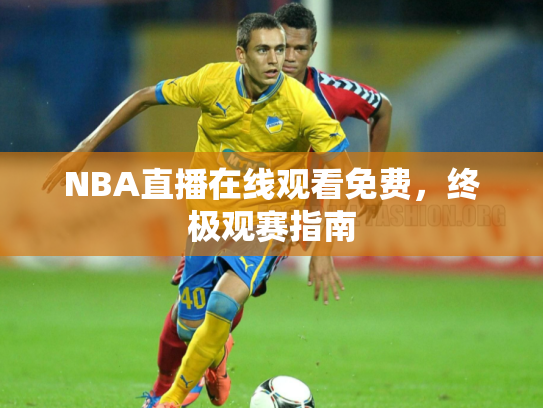 NBA直播在线观看免费，终极观赛指南