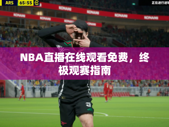 NBA直播在线观看免费，终极观赛指南
