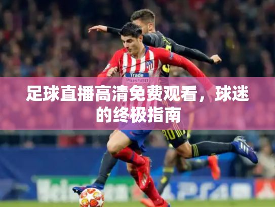 足球直播高清免费观看，球迷的终极指南