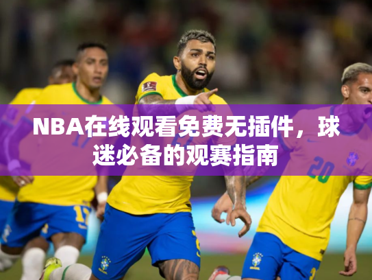 NBA在线观看免费无插件，球迷必备的观赛指南