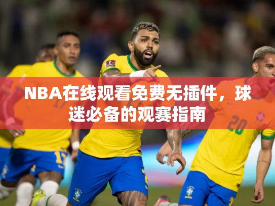 NBA在线观看免费无插件，球迷必备的观赛指南
