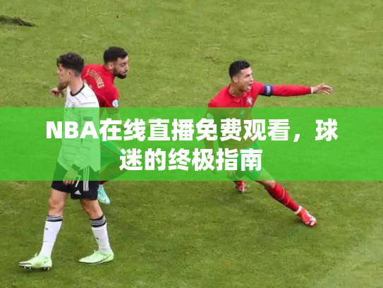 NBA在线直播免费观看，球迷的终极指南