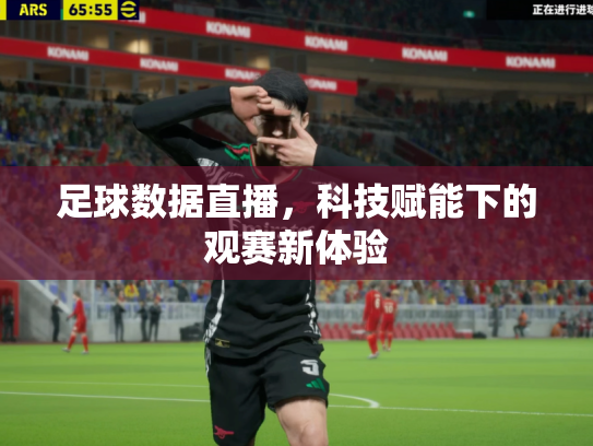 足球数据直播，科技赋能下的观赛新体验