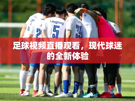 足球视频直播观看，现代球迷的全新体验