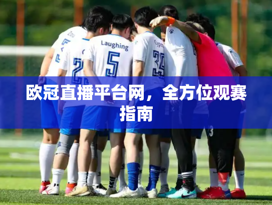 欧冠直播平台网，全方位观赛指南