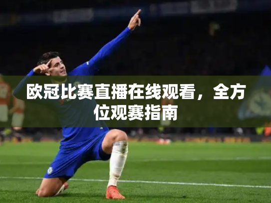 欧冠比赛直播在线观看，全方位观赛指南