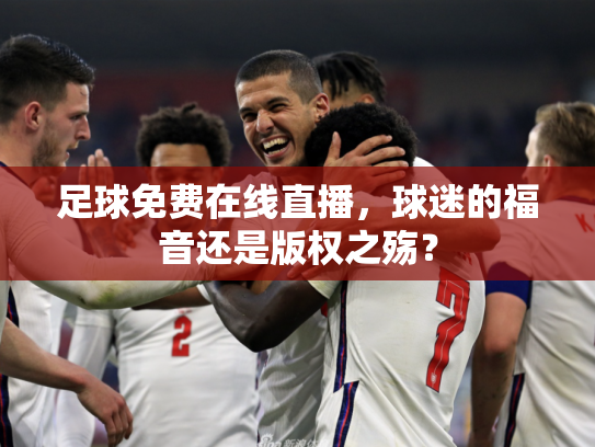 足球免费在线直播，球迷的福音还是版权之殇？