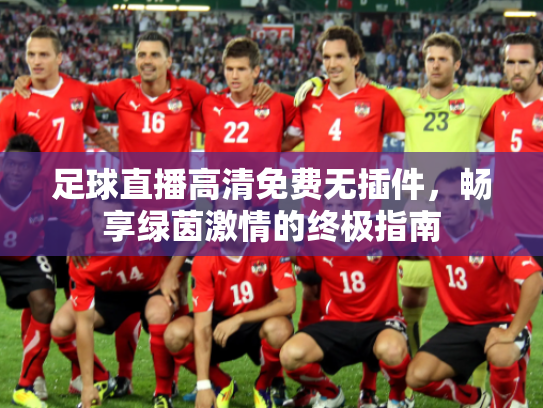 足球直播高清免费无插件，畅享绿茵激情的终极指南