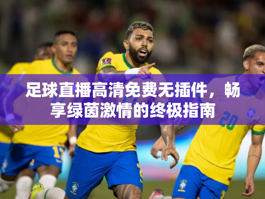 足球直播高清免费无插件，畅享绿茵激情的终极指南