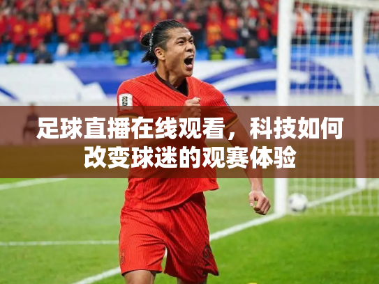 足球直播在线观看，科技如何改变球迷的观赛体验