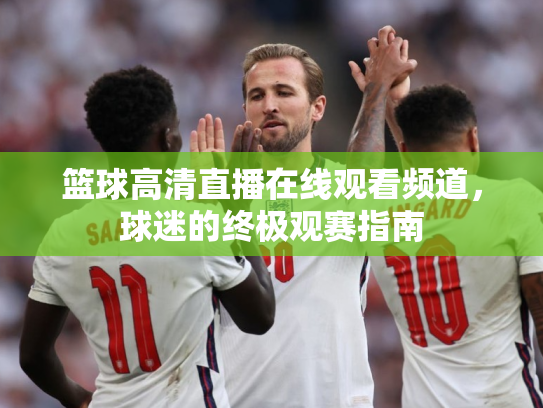 篮球高清直播在线观看频道，球迷的终极观赛指南