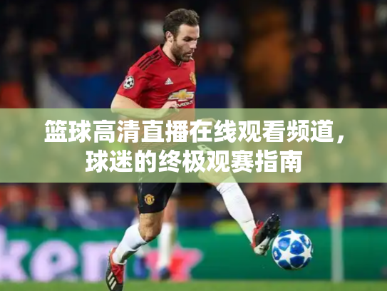 篮球高清直播在线观看频道，球迷的终极观赛指南