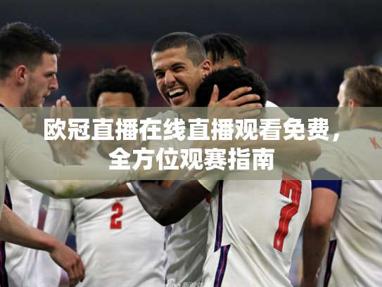 欧冠直播在线直播观看免费，全方位观赛指南
